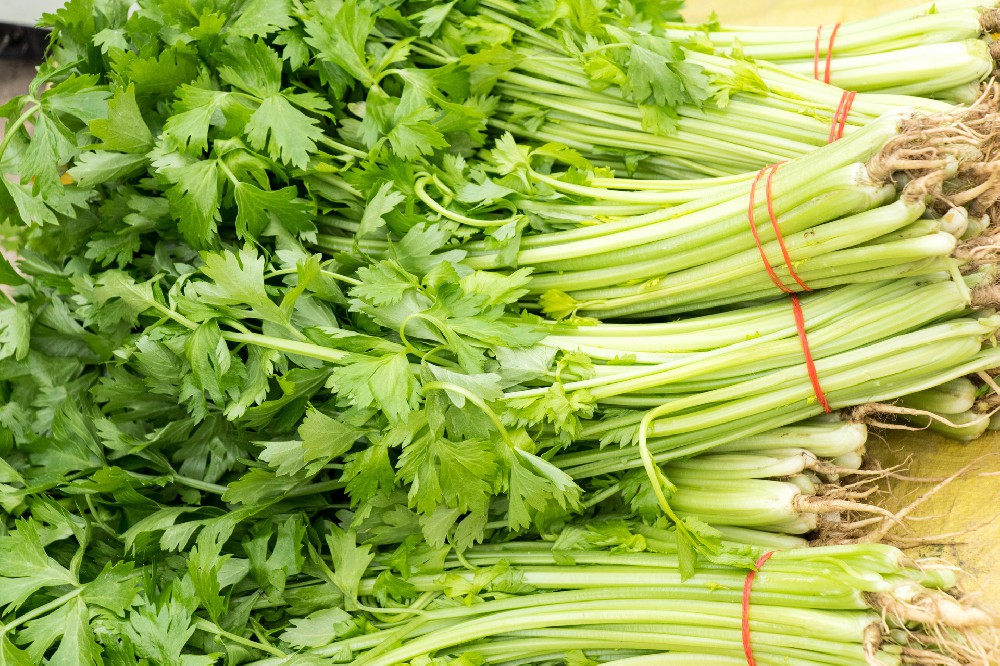 摄图网_500177126_banner_新鲜的蔬菜芹菜（企业商用）(1).jpg